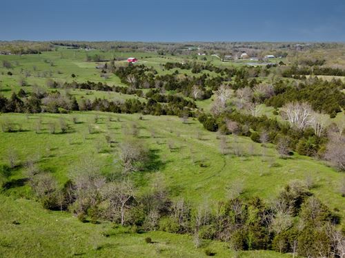 Moniteau County MO Pasture/Grass : California : Moniteau County : Missouri