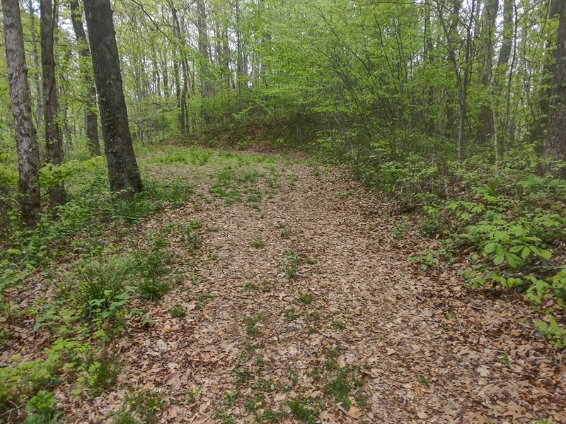 12 Mountaintop Acres : Franklin : Macon County : North Carolina