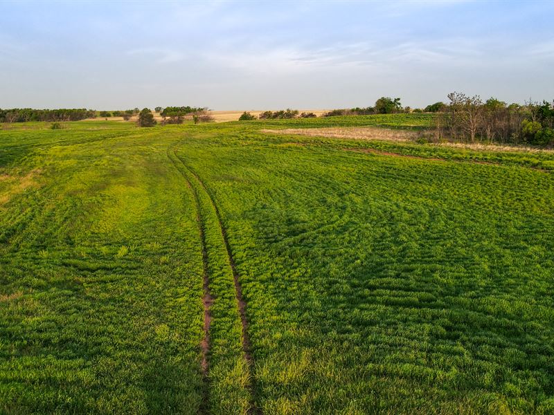 Land Auction in Grady County, OK : Amber : Grady County : Oklahoma
