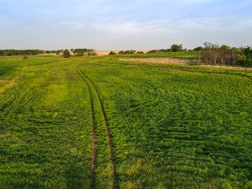 Land Auction in Grady County, OK : Amber : Grady County : Oklahoma