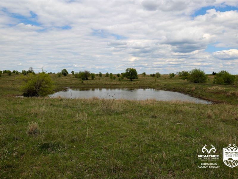 Saline County Kansas Pastureland : Assaria : Saline County : Kansas