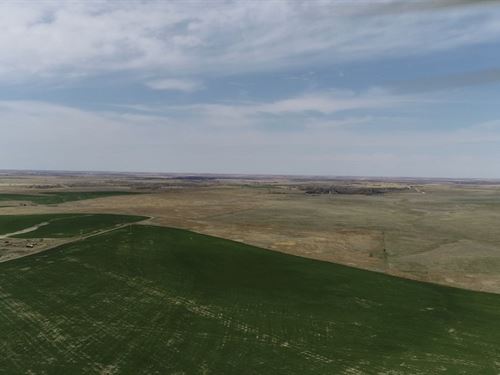Graham County on The Redline : Palco : Graham County : Kansas