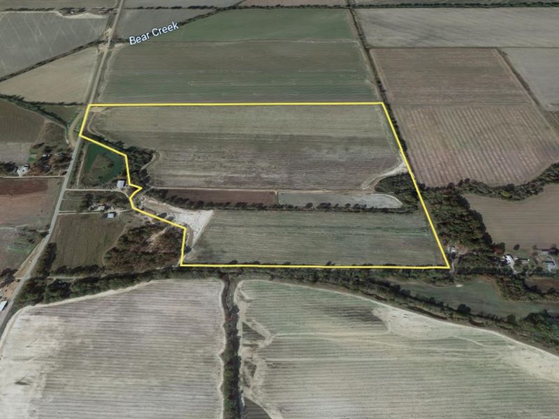 Online Auction, Row Crop Farmland : Wynne : Cross County : Arkansas