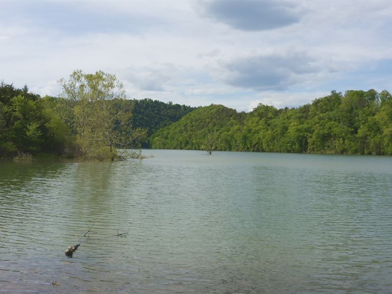 East Tennessee Riverfront Land : Tazewell : Claiborne County : Tennessee