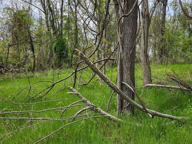 Building Lot in Blacksburg VA : Blacksburg : Montgomery County : Virginia