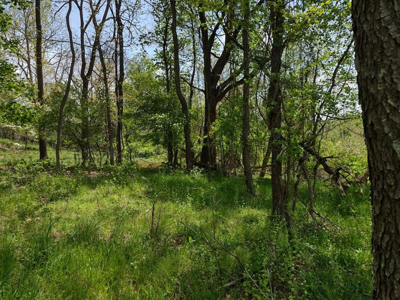 Building Lot in Blacksburg VA : Blacksburg : Montgomery County : Virginia