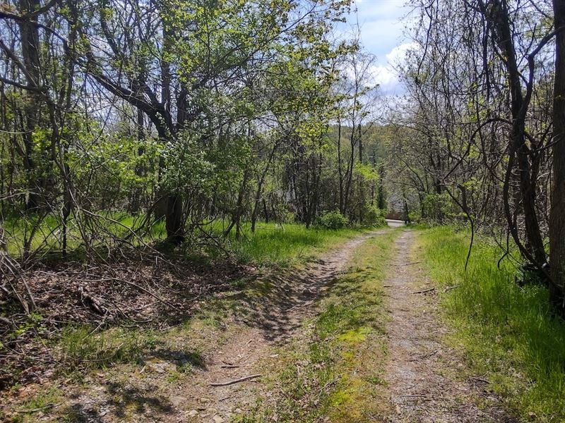 Land for Sale in Blacksburg VA : Blacksburg : Montgomery County : Virginia