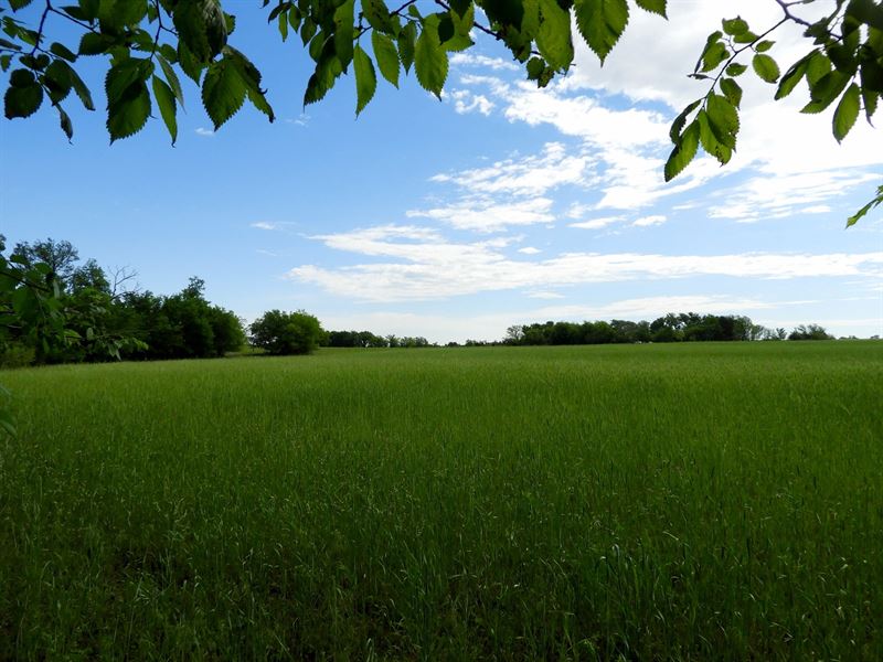 No Reserve Land Auction, Perkins : Perkins : Payne County : Oklahoma