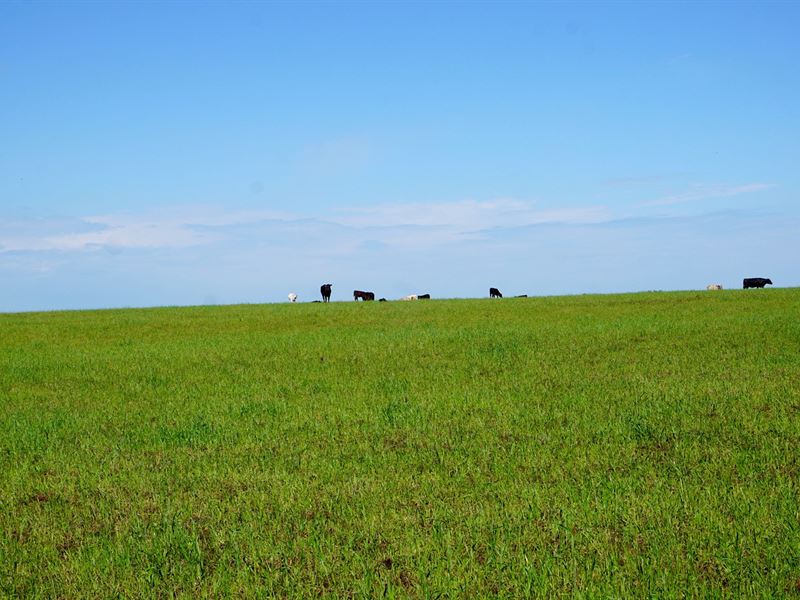 No Reserve Land Auction, Perkins : Perkins : Payne County : Oklahoma