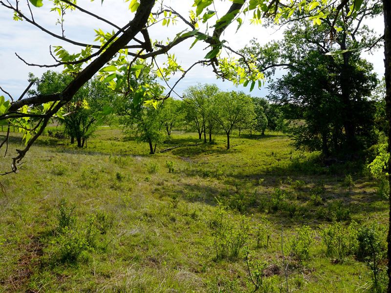 No Reserve Land Auction, Perkins : Perkins : Payne County : Oklahoma