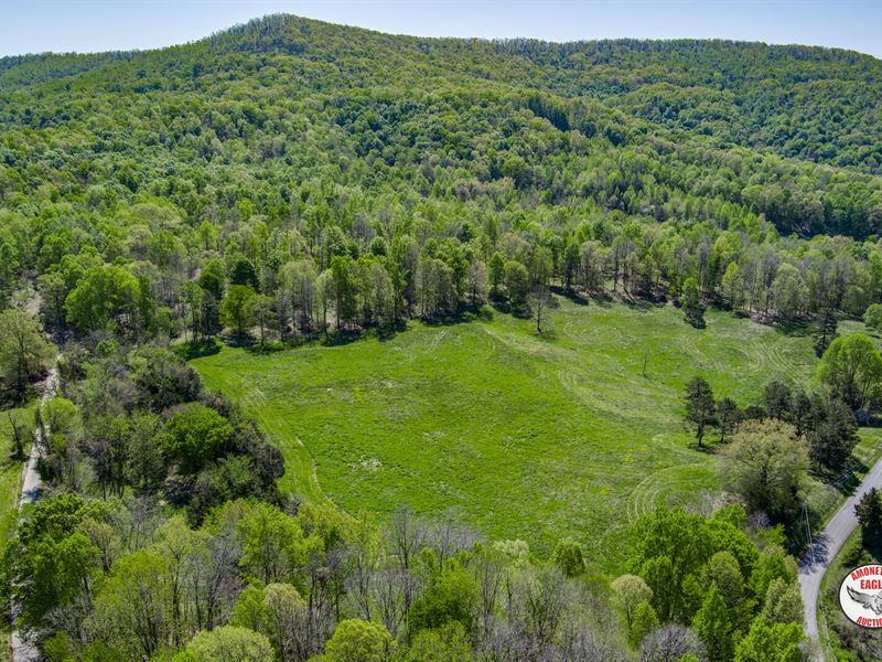 55 +/- Acres : Byrdstown : Pickett County : Tennessee
