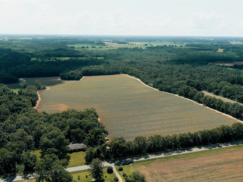 74 + Ac Prime Ag / Development Land : Silverhill : Baldwin County : Alabama