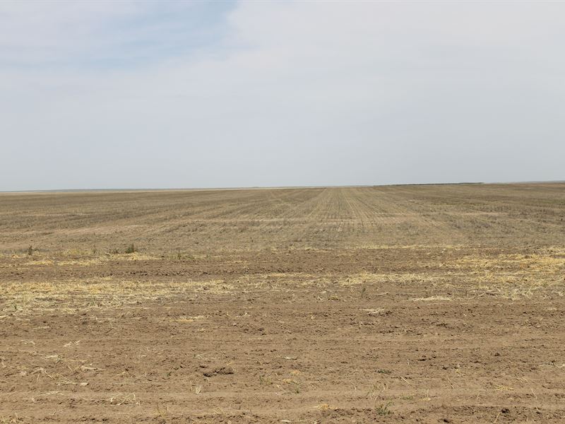 Productive Eastern CO Farmland : Cheyenne Wells : Cheyenne County : Colorado