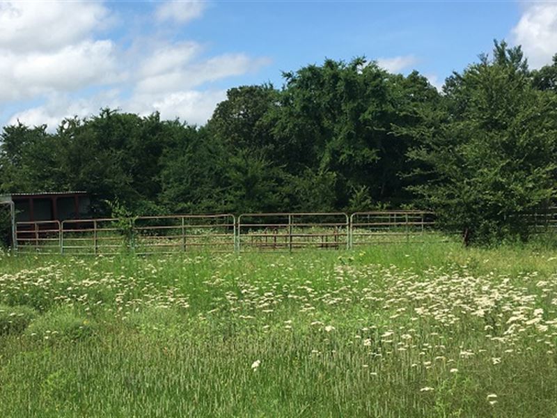 80 Acres/ Home, Barns, Corrals : Tecumseh : Pottawatomie County : Oklahoma