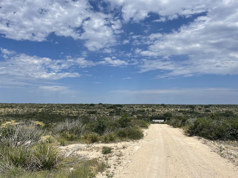 Auction in Crockett County : Ozona : Crockett County : Texas