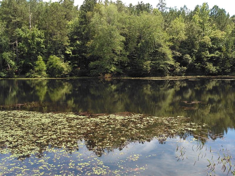 Recreational Paradise : Sandersville : Washington County : Georgia