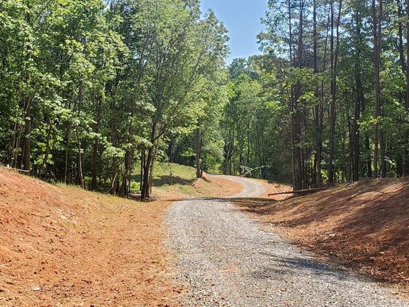 180.9 Acres of Land for Auction : Moneta : Bedford County : Virginia
