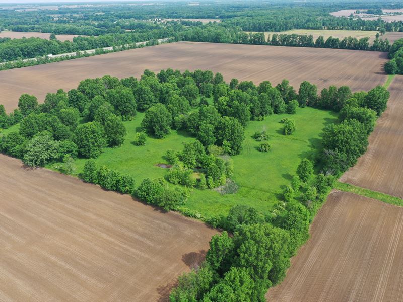 Ohio Home & Land Auction : Sunbury : Delaware County : Ohio