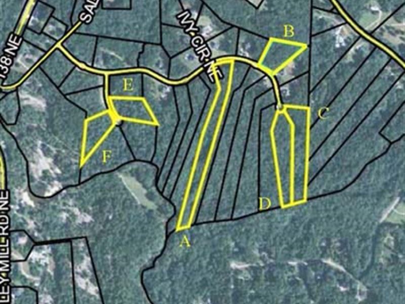 Auction, 18.74 AC in 6 Parcels : Conyers : Newton County : Georgia