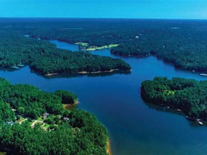 Absolute Auction, 3 Resi. Parcels : McCormick : McCormick County : South Carolina