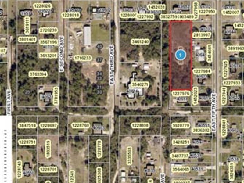 Absolute Auction, 1 Acre Lot : Umatilla : Lake County : Florida