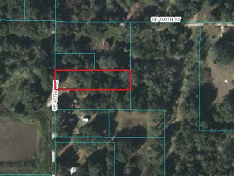 Absolute Auction, Residential Lot : Belleview : Marion County : Florida