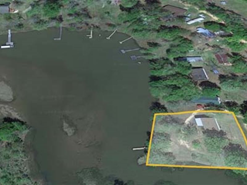 Auction, Lake House & Lot : Minter : Dallas County : Alabama