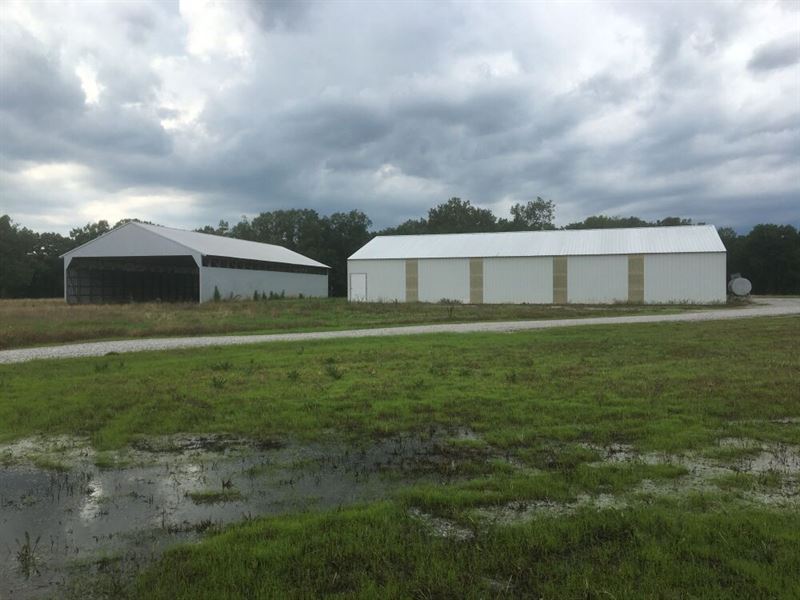 160+/- Acres of Farmland : Moulton : Lawrence County : Alabama
