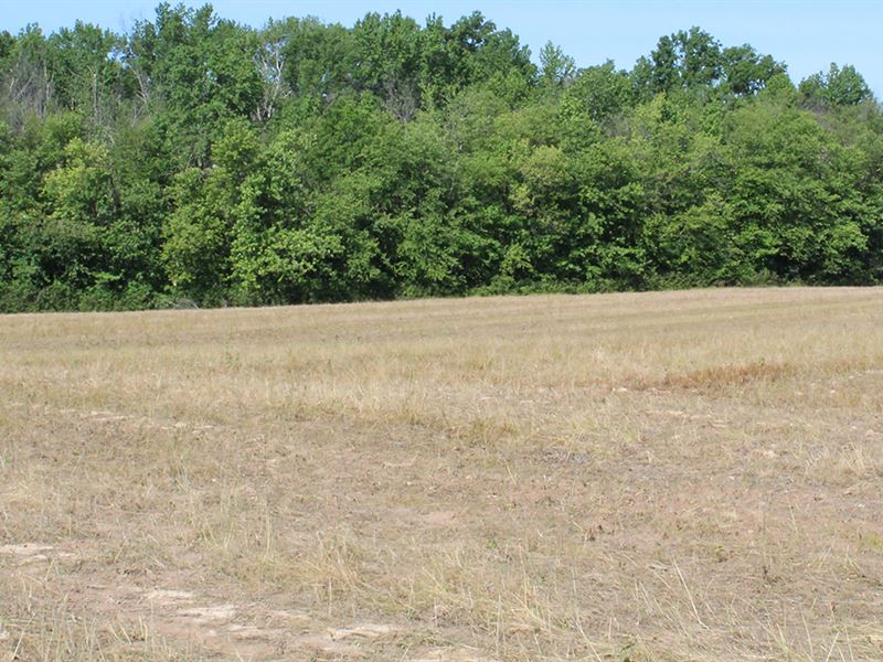 Land Auction, 187.5+/- Acres : Winslow : Pike County : Indiana