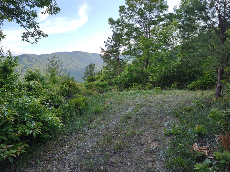 10.5 Mountaintop Acres : Otto : Macon County : North Carolina