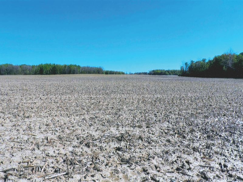 Land Auction, 252 +/- Acres : Logansport : Cass County : Indiana