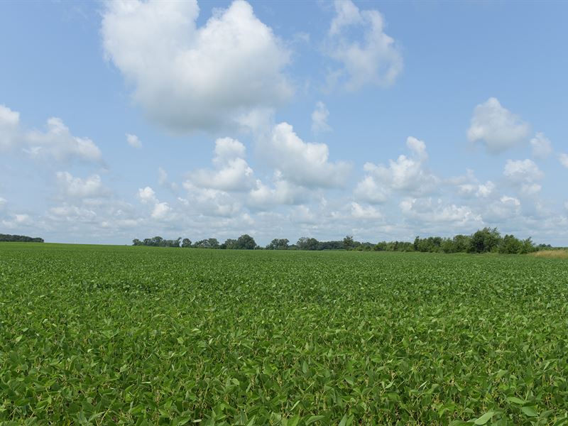 280.86 +/- Ac Offered in 2 Tracts : Monon : White County : Indiana