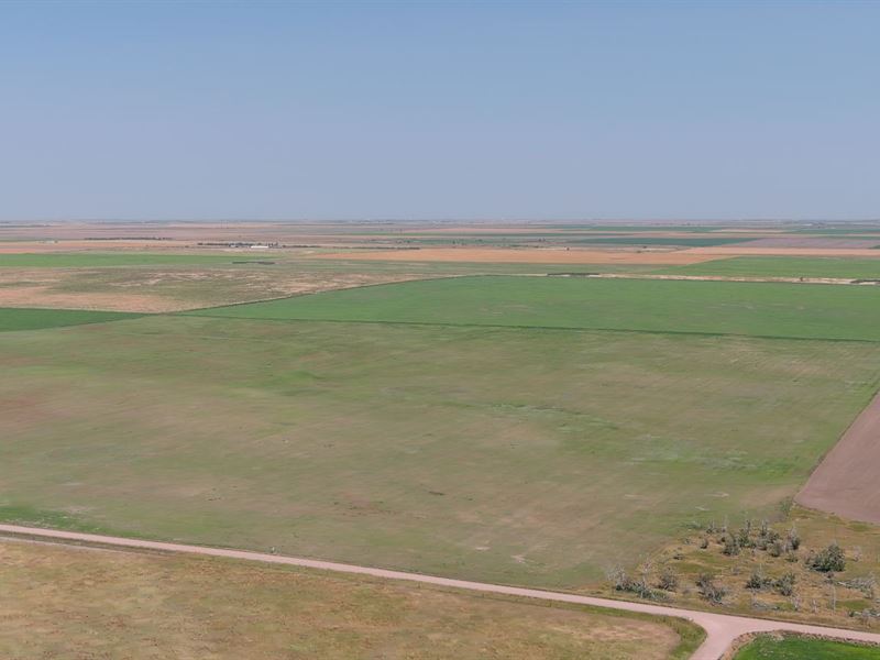 NW Yuma County Dryland Auction : Yuma : Yuma County : Colorado