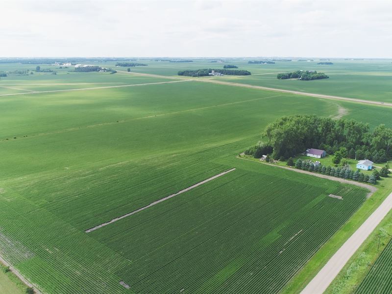Murray County, Minnesota Farmland : Slayton : Murray County : Minnesota