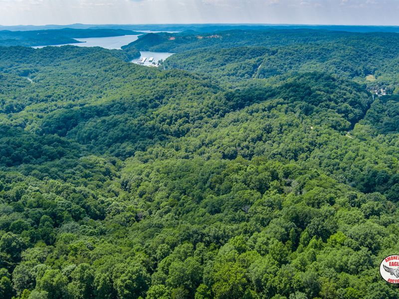 174 +/- Acres : Byrdstown : Pickett County : Tennessee