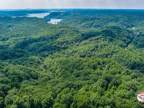 174 +/- Acres : Byrdstown : Pickett County : Tennessee