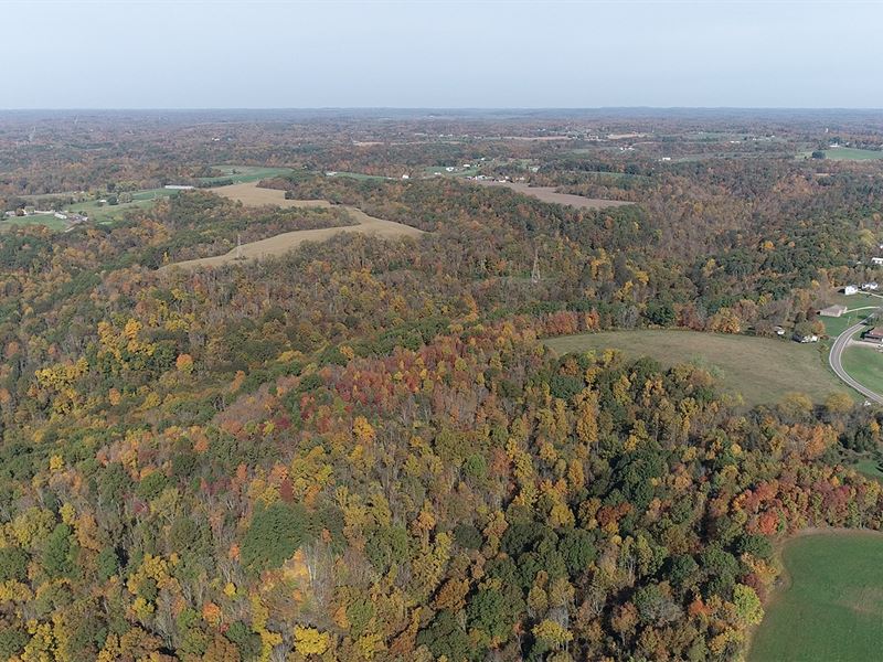 Land Auction, 513 Ac in 17 Tracts : Stockport : Morgan County : Ohio