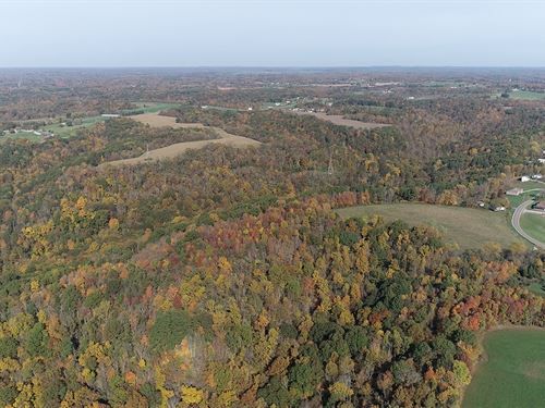Land Auction, 513 Ac in 17 Tracts : Stockport : Morgan County : Ohio