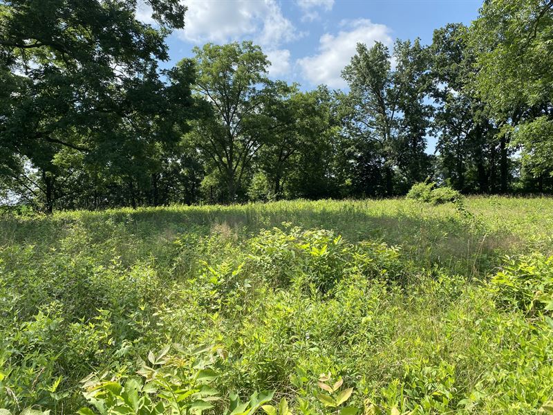Chariton County Missouri Auction : Salisbury : Chariton County : Missouri