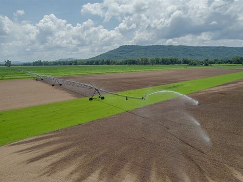 Prime Arkansas Crop & Pasture Land : Morrilton : Conway County : Arkansas