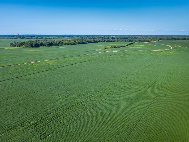 Highly Productive Farms in 3 States : Idabel : McCurtain County : Oklahoma
