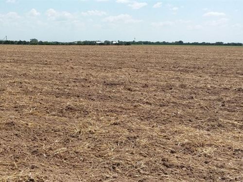 Excellent Cultivation, Small Tract : Otis : Rush County : Kansas
