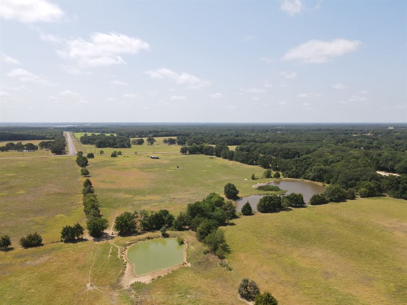 Texas Land by Lake Auction : Lamasco : Fannin County : Texas