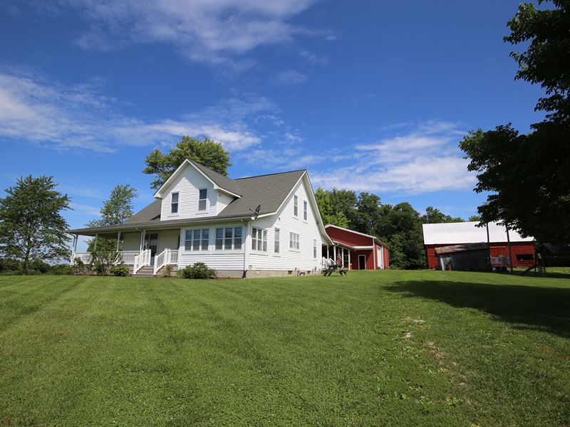 Illinois Farm & Hunting Land : Claremont : Richland County : Illinois
