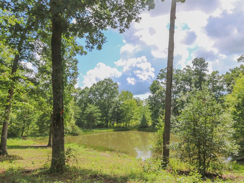 2 Tracts, Ponds & Buildings : Jamestown : Fentress County : Tennessee