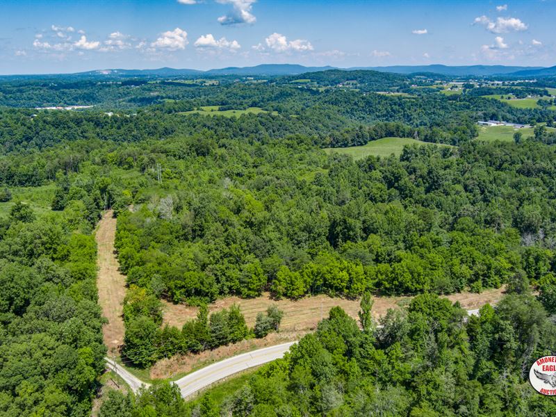 33 +/- Acres : Pall Mall : Pickett County : Tennessee
