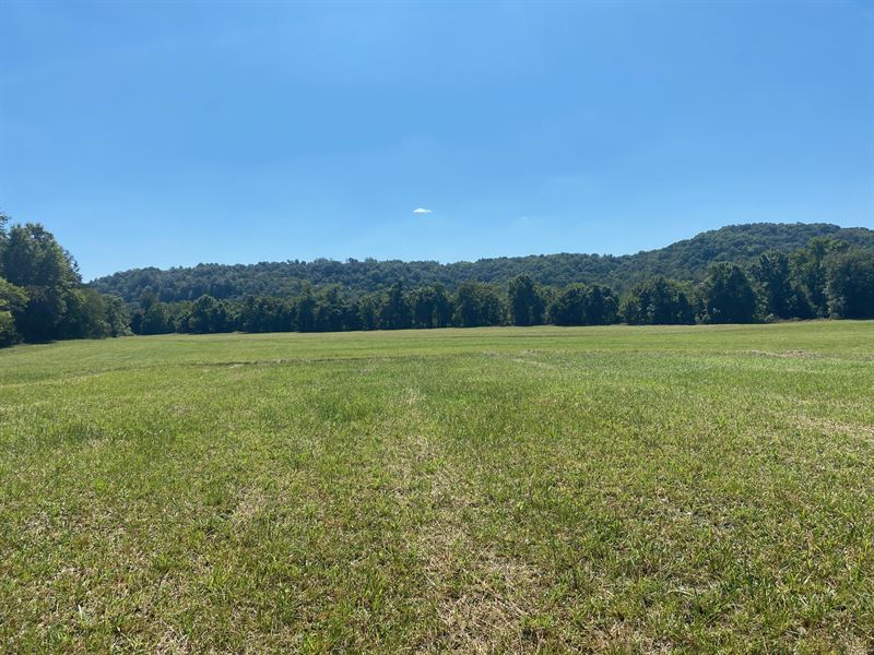 371 +/- Acres Tillable Farmland : Burkesville : Cumberland County : Kentucky