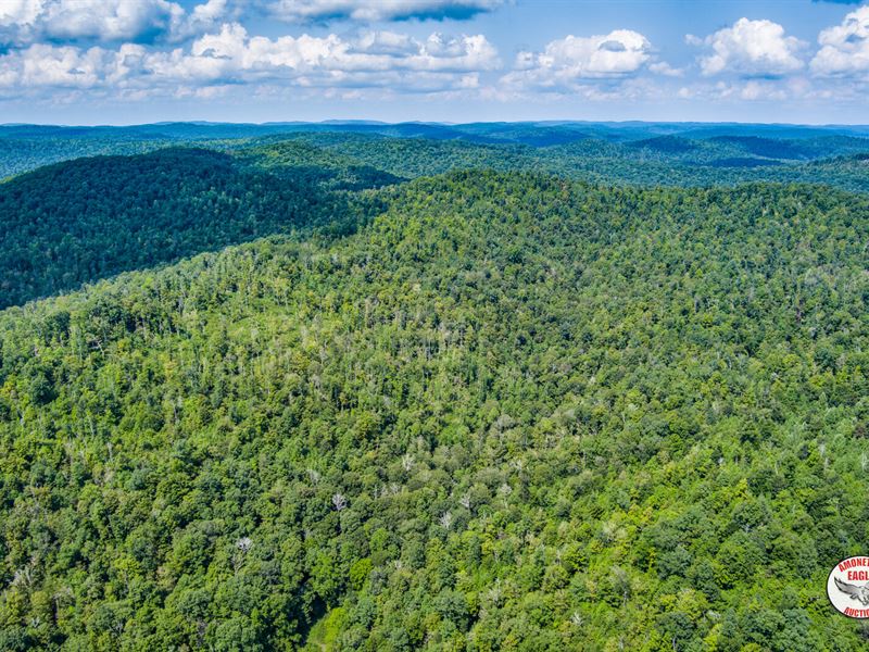 134 +/- Acres : Monticello : Wayne County : Kentucky