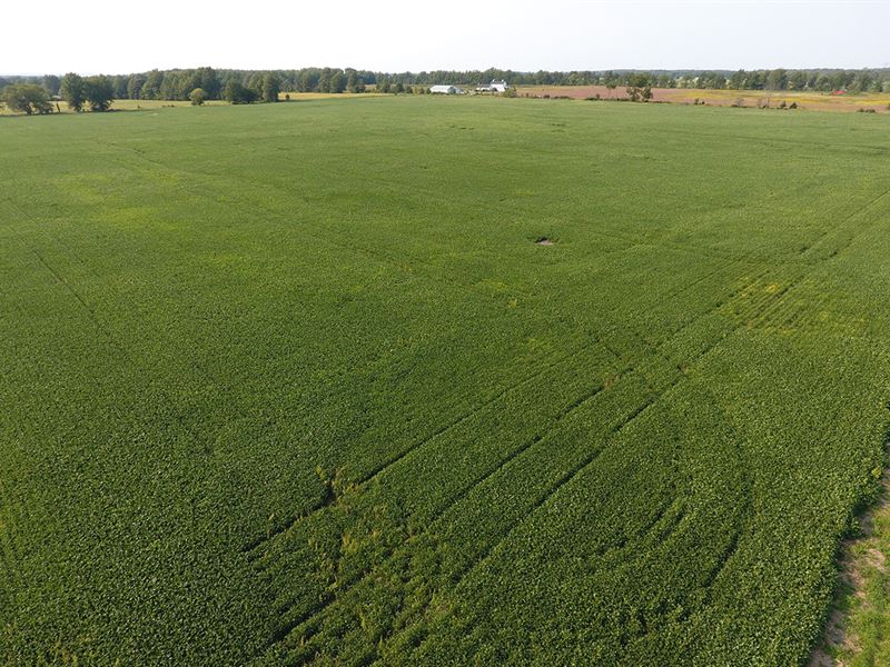 217 Acre Union County Grain Farm : Marysville : Union County : Ohio