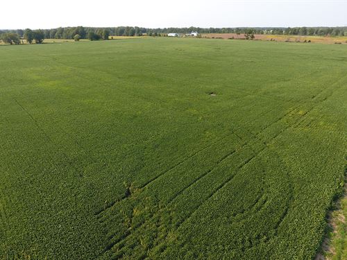 217 Acre Union County Grain Farm : Marysville : Union County : Ohio